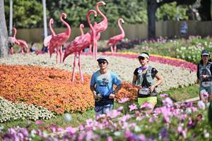 BIB: 
                            <button type="button" onclick="openModal(27793300)" class="btn btn-primary btn-sm float-right btn-popup" data-toggle="modal" data-target=".modal-high-quality">
                        <i class="fas fa-shopping-cart"></i> Add to Cart
                    </button>
                                            <button type="button" onclick="isThisMe(27793300, true)" class="btn btn-success btn-sm float-right btn-popup btn-isme hidden" data-toggle="tooltip" data-placement="bottom" title="นี่คือรูปของคุณใช่ไหม คลิกที่นี่เพื่อเอาเข้าอัลบั้ม">
                        <i class="fas fa-plus"></i> Add to album
                    </button>
                    <button type="button" onclick="isThisMe(27793300, false)" class="btn btn-warning btn-sm float-right btn-popup btn-isnotme hidden">
                        <i class="fas fa-ban"></i> Remove from album
                    </button>